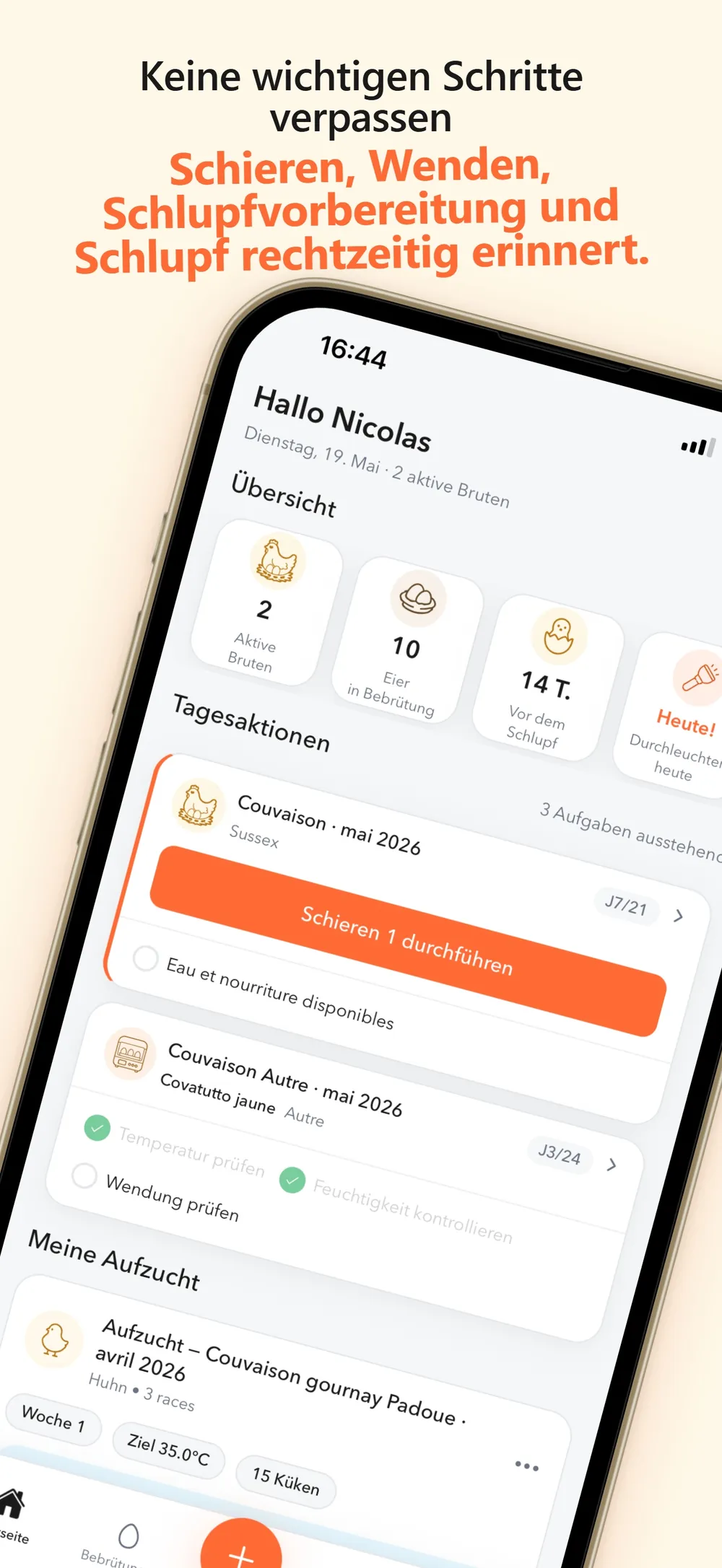 Verpasse keine wichtigen Schritte, Eggtrackr