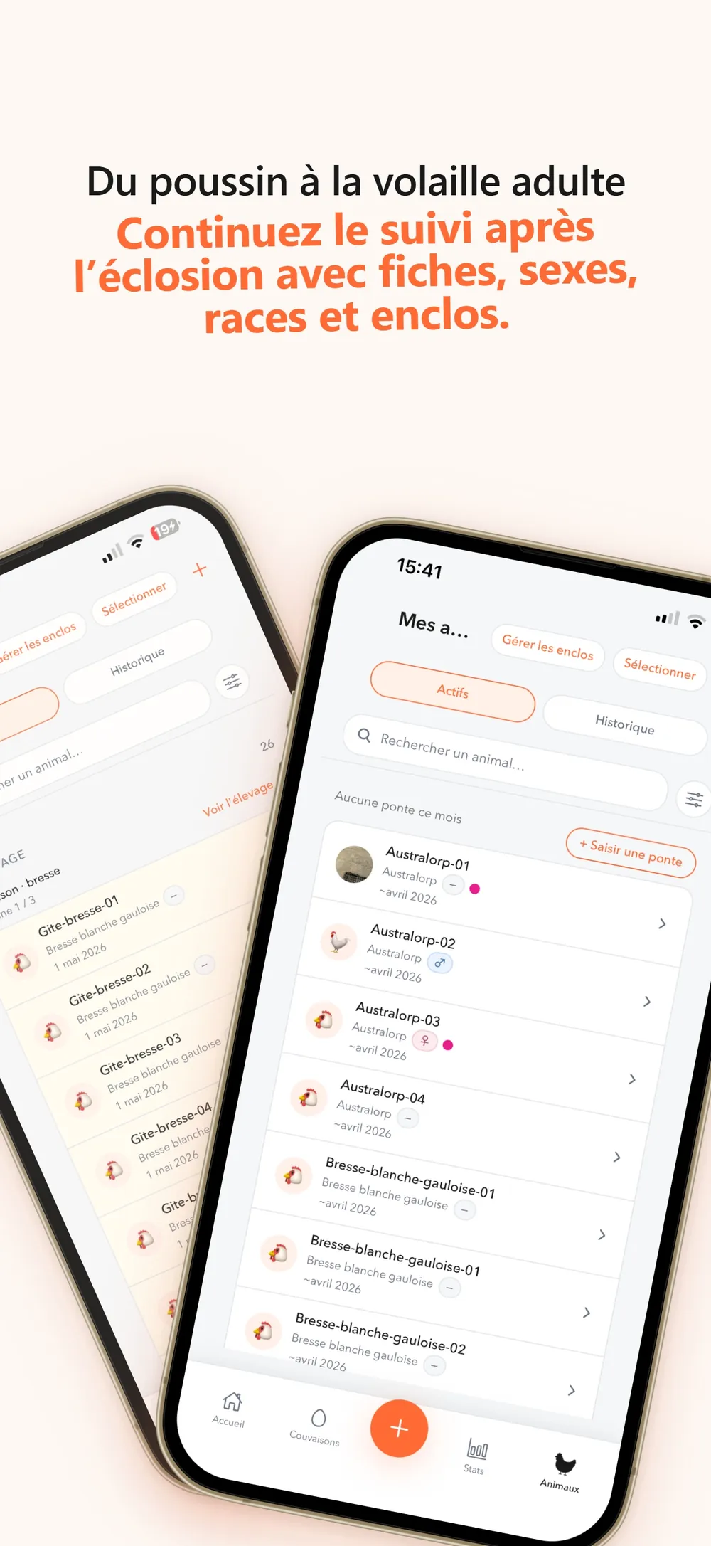 Du poussin à la volaille adulte, Eggtrackr